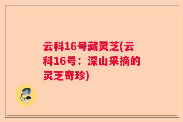 云科16号藏灵芝(云科16号：深山采摘的灵芝奇珍)