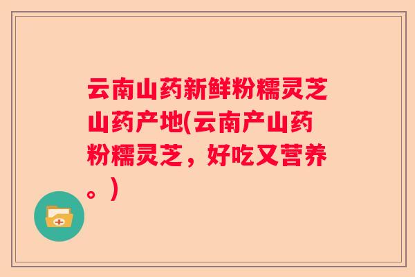 云南山药新鲜粉糯灵芝山药产地(云南产山药粉糯灵芝，好吃又营养。)