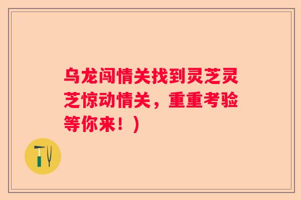 乌龙闯情关找到灵芝灵芝惊动情关，重重考验等你来！)