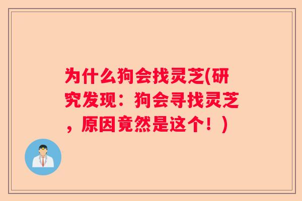 为什么狗会找灵芝(研究发现：狗会寻找灵芝，原因竟然是这个！)
