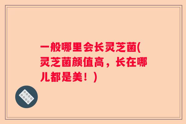 一般哪里会长灵芝菌(灵芝菌颜值高，长在哪儿都是美！)