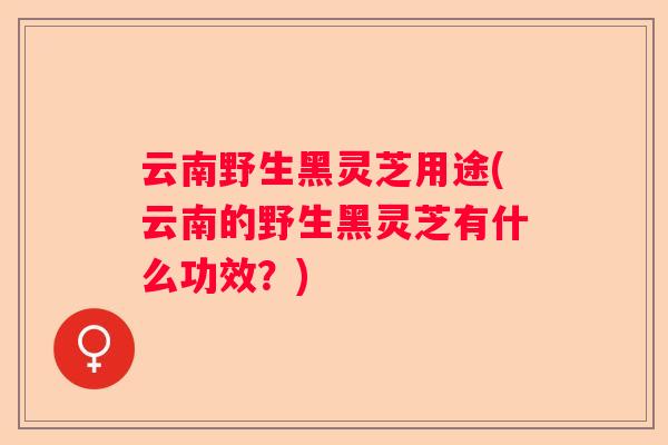 云南野生黑灵芝用途(云南的野生黑灵芝有什么功效？)