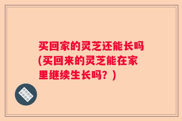 买回家的灵芝还能长吗(买回来的灵芝能在家里继续生长吗？)