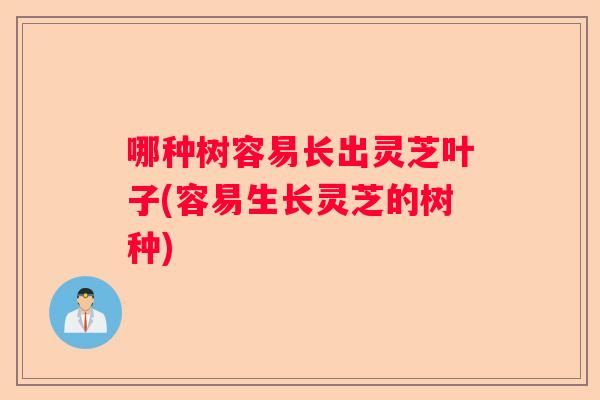 哪种树容易长出灵芝叶子(容易生长灵芝的树种)