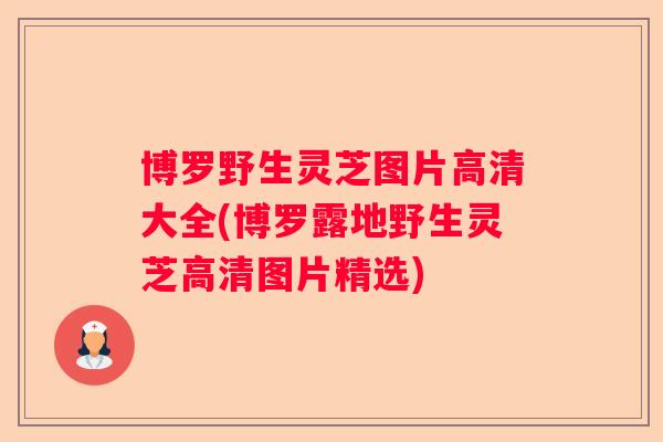 博罗野生灵芝图片高清大全(博罗露地野生灵芝高清图片精选)