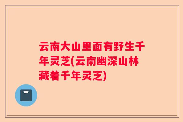 云南大山里面有野生千年灵芝(云南幽深山林藏着千年灵芝)