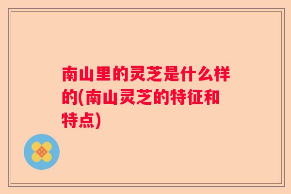 南山里的灵芝是什么样的(南山灵芝的特征和特点)