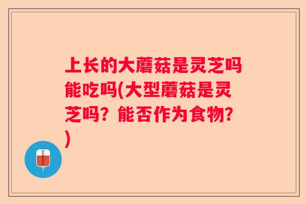 上长的大蘑菇是灵芝吗能吃吗(大型蘑菇是灵芝吗?能否作为食物?) 上长的大蘑菇是灵芝吗能吃吗(大型蘑菇是灵芝吗?能否作为食物?)