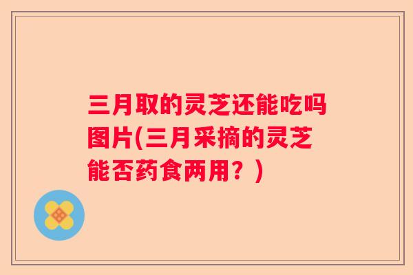 三月取的灵芝还能吃吗图片(三月采摘的灵芝能否药食两用？)