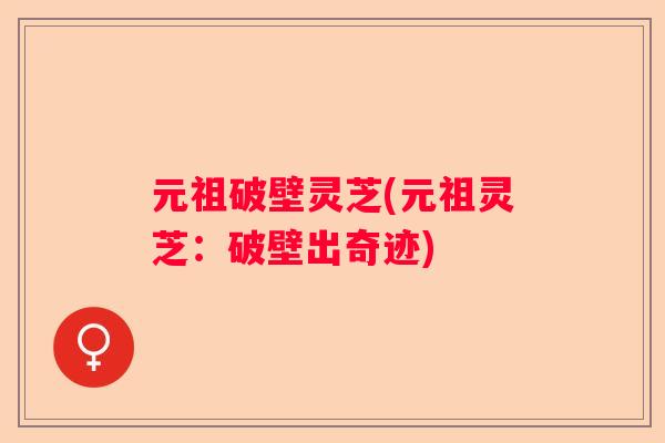元祖破壁灵芝(元祖灵芝：破壁出奇迹)