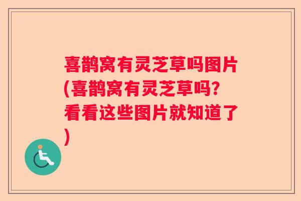 喜鹊窝有灵芝草吗图片(喜鹊窝有灵芝草吗？看看这些图片就知道了)