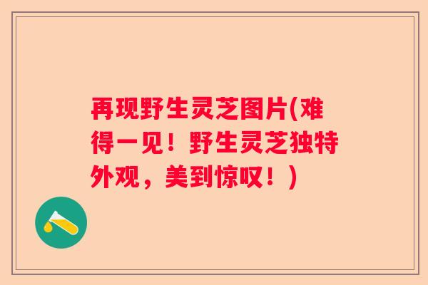 再现野生灵芝图片(难得一见！野生灵芝独特外观，美到惊叹！)