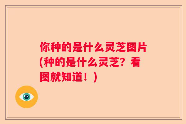 你种的是什么灵芝图片(种的是什么灵芝？看图就知道！)