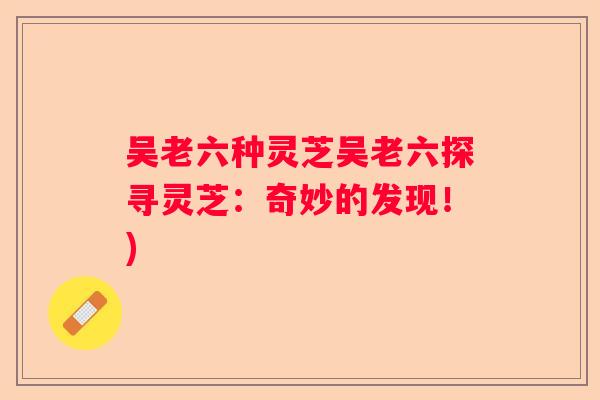 吴老六种灵芝吴老六探寻灵芝：奇妙的发现！)