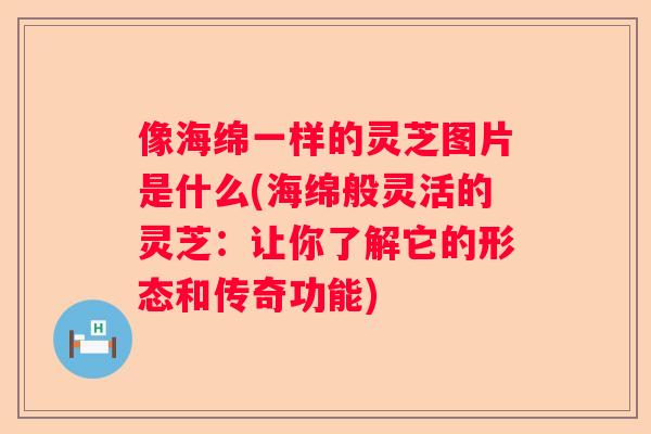 像海绵一样的灵芝图片是什么(海绵般灵活的灵芝：让你了解它的形态和传奇功能)