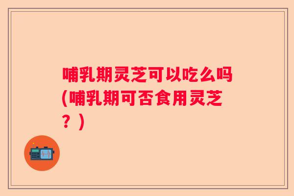 哺乳期灵芝可以吃么吗(哺乳期可否食用灵芝？)