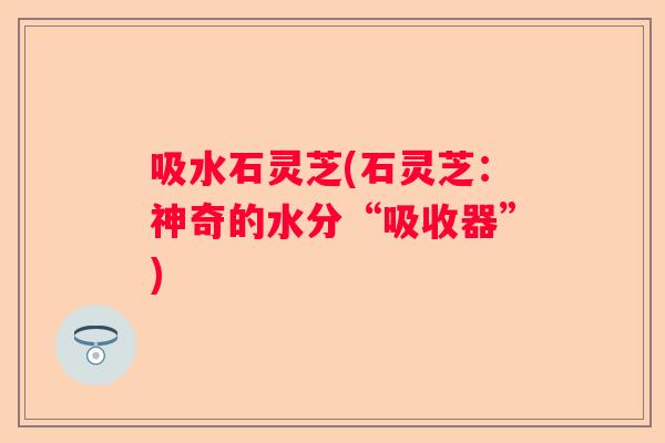 吸水石灵芝(石灵芝:神奇的水分“吸收器”) 吸水石灵芝(石灵芝:神奇的水分“吸收器”)