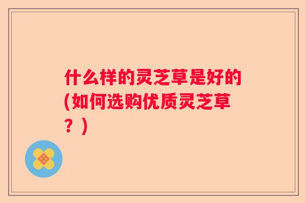 什么样的灵芝草是好的(如何选购优质灵芝草?) 什么样的灵芝草是好的(如何选购优质灵芝草?)