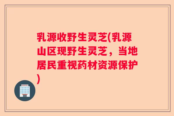乳源收野生灵芝(乳源山区现野生灵芝，当地居民重视药材资源保护)