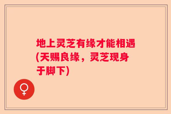 地上灵芝有缘才能相遇(天赐良缘，灵芝现身于脚下)