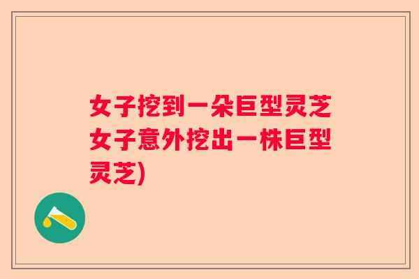 女子挖到一朵巨型灵芝女子意外挖出一株巨型灵芝)