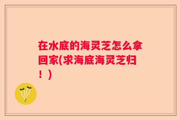 在水底的海灵芝怎么拿回家(求海底海灵芝归！)