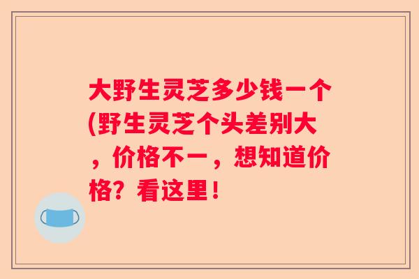 大野生灵芝多少钱一个(野生灵芝个头差别大,价格不一,想知道价格?看这里! 大野生灵芝多少钱一个(野生灵芝个头差别大,价格不一,想知道价格?看这里!