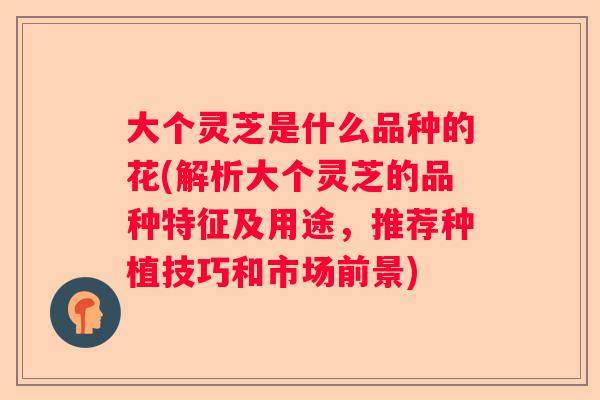 大个灵芝是什么品种的花(解析大个灵芝的品种特征及用途，推荐种植技巧和市场前景)