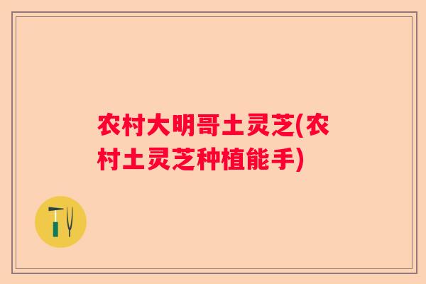 农村大明哥土灵芝(农村土灵芝种植能手)