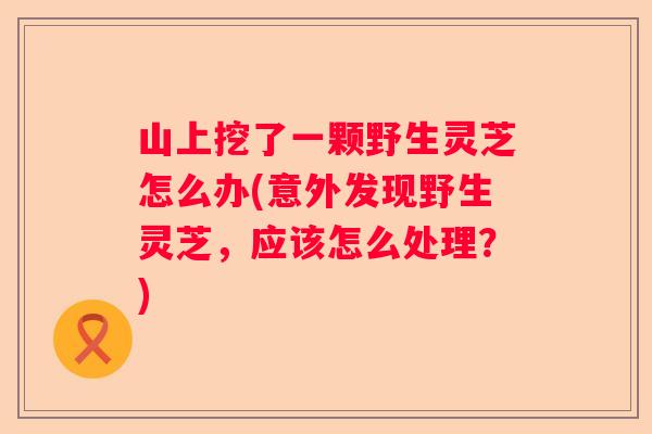 山上挖了一颗野生灵芝怎么办(意外发现野生灵芝，应该怎么处理？)