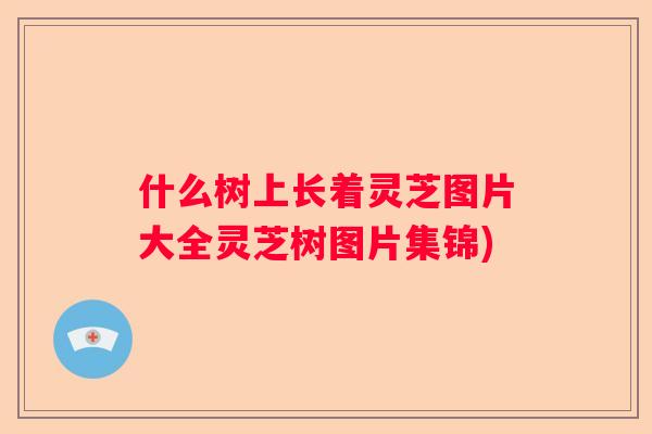 什么树上长着灵芝图片大全灵芝树图片集锦)
