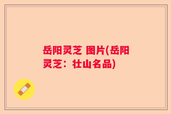 岳阳灵芝 图片(岳阳灵芝：壮山名品)