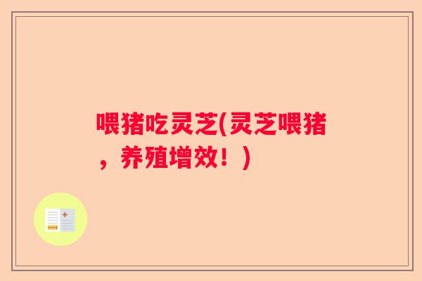 喂猪吃灵芝(灵芝喂猪，养殖增效！)