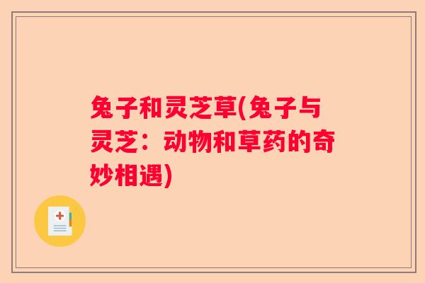 兔子和灵芝草(兔子与灵芝：动物和草药的奇妙相遇)