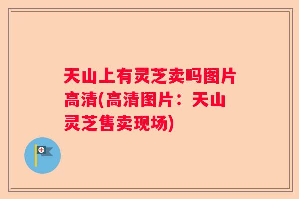 天山上有灵芝卖吗图片高清(高清图片：天山灵芝售卖现场)