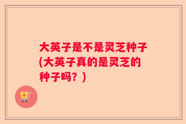 大英子是不是灵芝种子(大英子真的是灵芝的种子吗？)