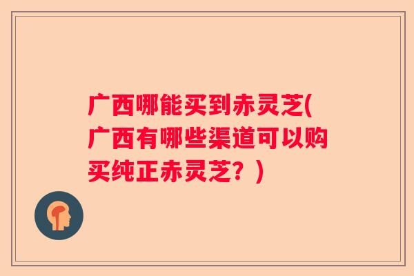 广西哪能买到赤灵芝(广西有哪些渠道可以购买纯正赤灵芝？)