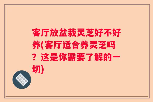 客厅放盆栽灵芝好不好养(客厅适合养灵芝吗？这是你需要了解的一切)
