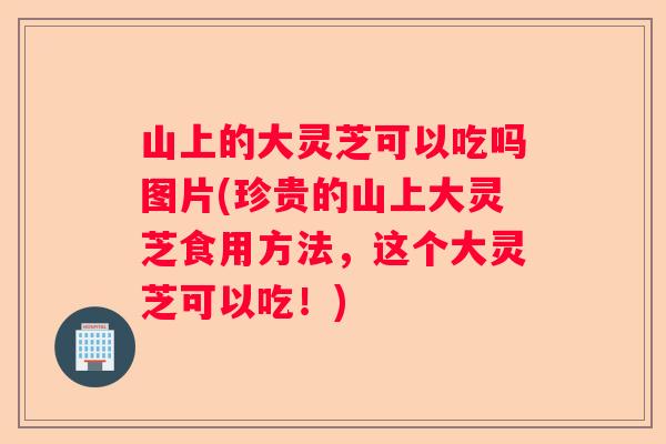 山上的大灵芝可以吃吗图片(珍贵的山上大灵芝食用方法，这个大灵芝可以吃！)
