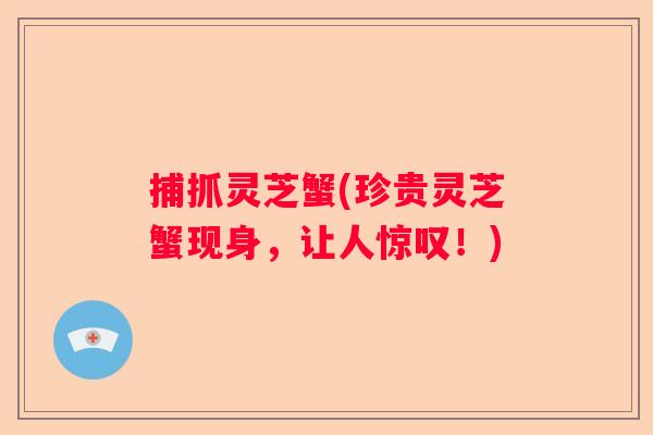 捕抓灵芝蟹(珍贵灵芝蟹现身，让人惊叹！)