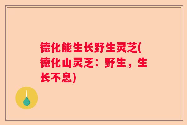 德化能生长野生灵芝(德化山灵芝：野生，生长不息)