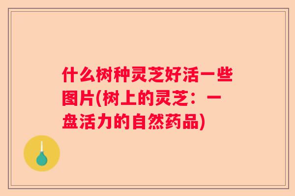 什么树种灵芝好活一些图片(树上的灵芝：一盘活力的自然药品)