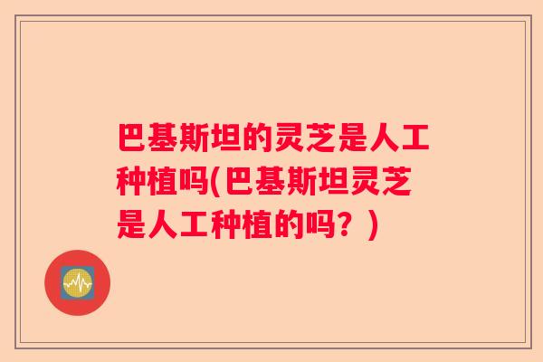 巴基斯坦的灵芝是人工种植吗(巴基斯坦灵芝是人工种植的吗？)