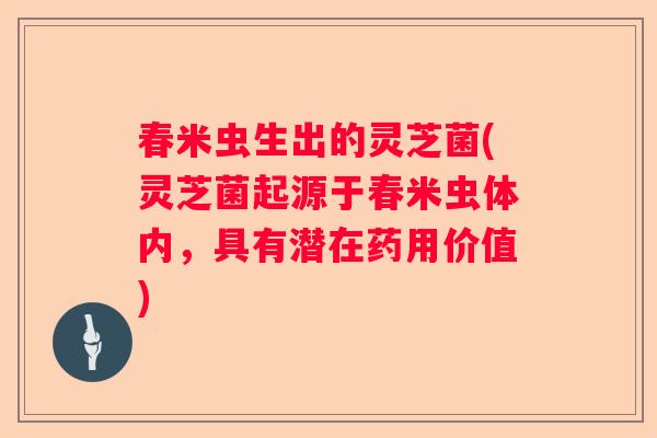 春米虫生出的灵芝菌(灵芝菌起源于春米虫体内,具有潜在药用价值) 春米虫生出的灵芝菌(灵芝菌起源于春米虫体内,具有潜在药用价值)