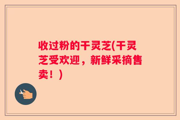 收过粉的干灵芝(干灵芝受欢迎，新鲜采摘售卖！)