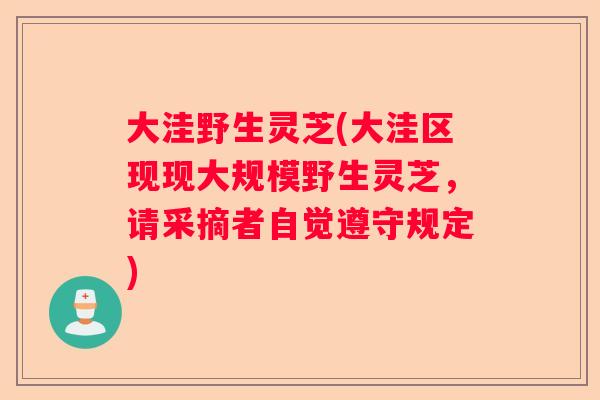 大洼野生灵芝(大洼区现现大规模野生灵芝，请采摘者自觉遵守规定)