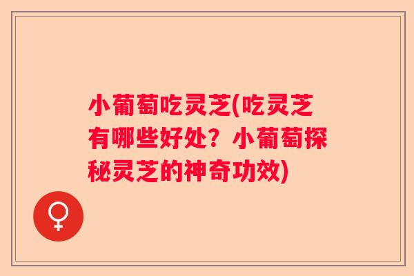 小葡萄吃灵芝(吃灵芝有哪些好处？小葡萄探秘灵芝的神奇功效)
