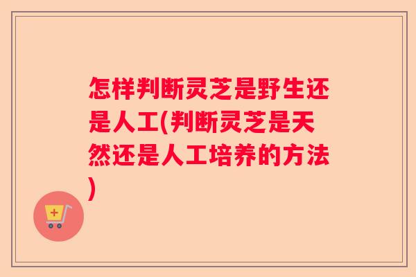 怎样判断灵芝是野生还是人工(判断灵芝是天然还是人工培养的方法)
