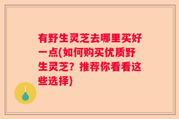 有野生灵芝去哪里买好一点(如何购买优质野生灵芝？推荐你看看这些选择)
