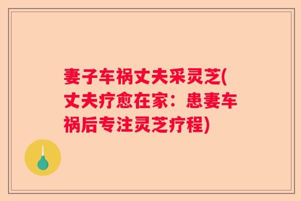 妻子车祸丈夫采灵芝(丈夫疗愈在家：患妻车祸后专注灵芝疗程)